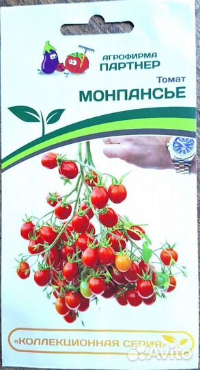 Рассада помидор