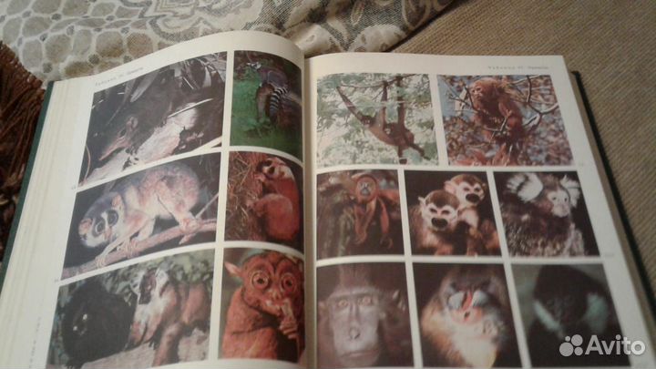 Жизнь животных в 7 томах