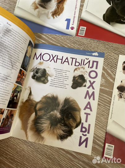 Журналы The Dog Collection