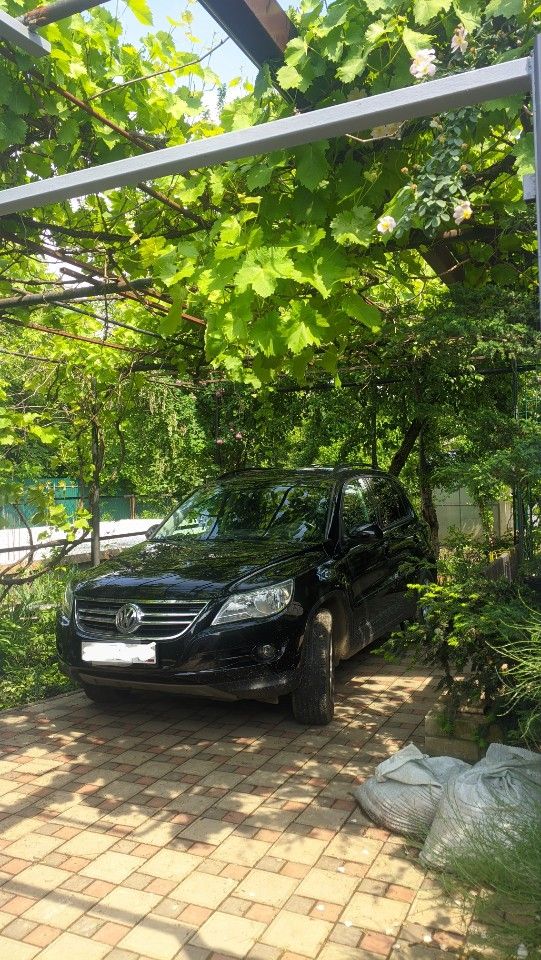Volkswagen Tiguan: фото владельца