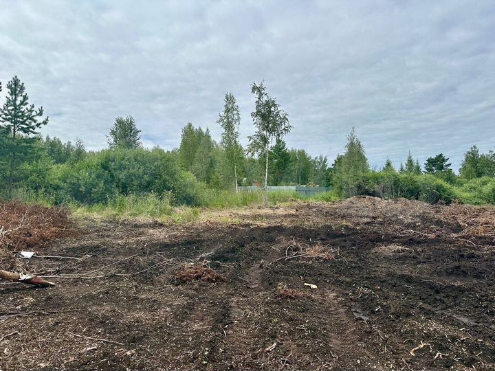 Участок 9,2 сот. (СНТ, ДНП)