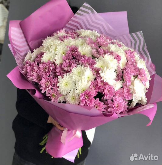 Хризантемы