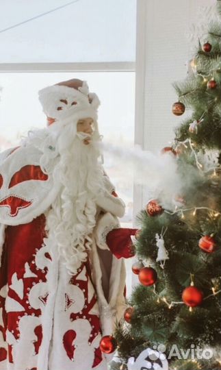 Аниматоры на день рождения/ Дед Мороз