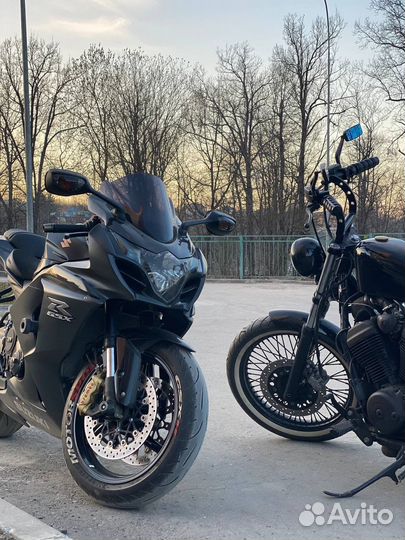 Honda steed 600 bobber