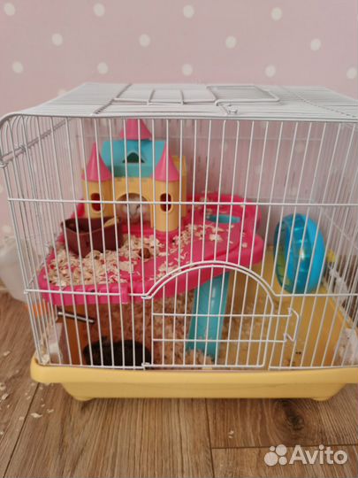 Клетка для хомяка бу