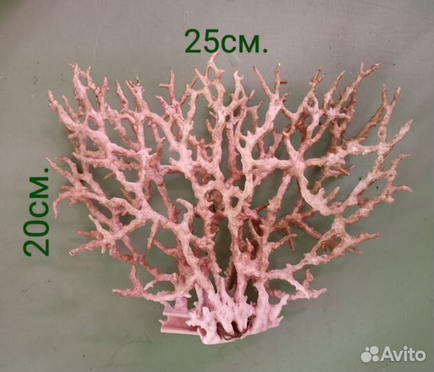 Коралл (имитация)