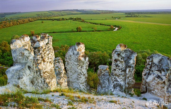 Натуральный Мёд из Дивногорья (разнотравье)