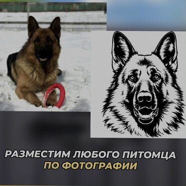 Портрет-табличка собаки на ворота