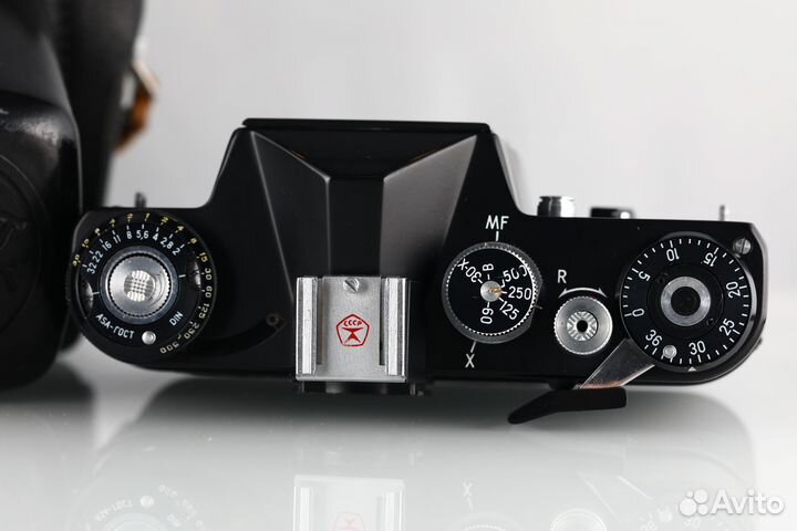 Зенит ем Body