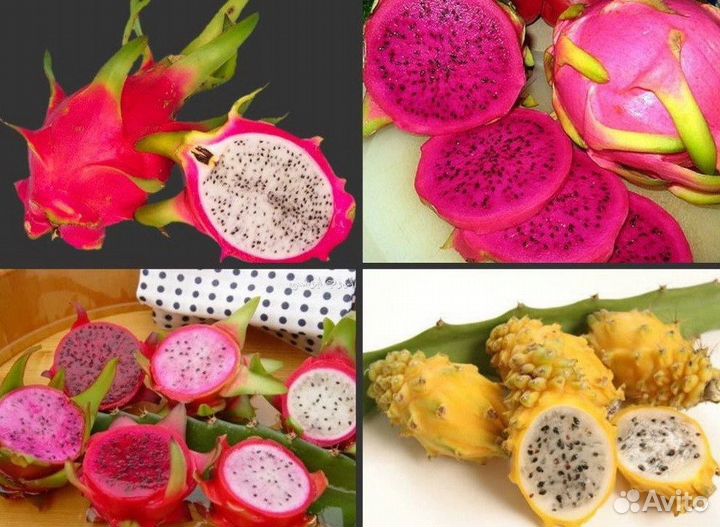 Питахайя (драконий фрукт)