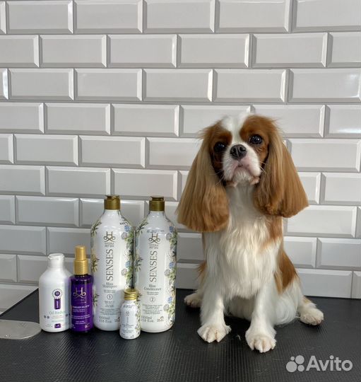 Груминг-салон груминг стрижка собак и кошек