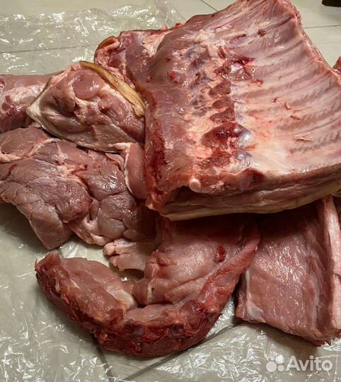 Мясо свинина домашняя