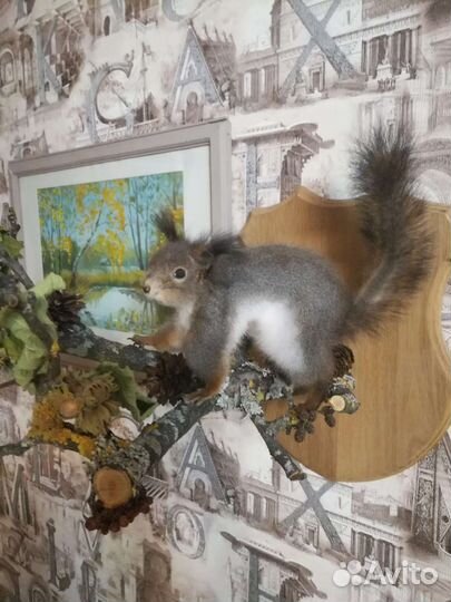 Чучело рыбы