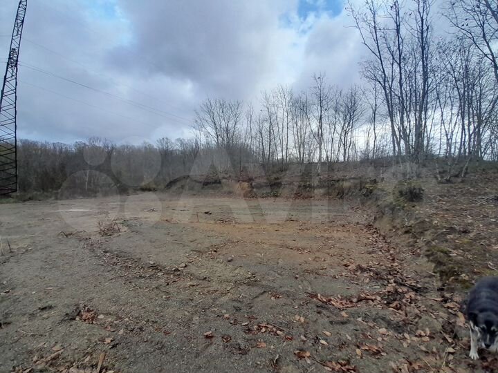 Участок 6 сот. (СНТ, ДНП)