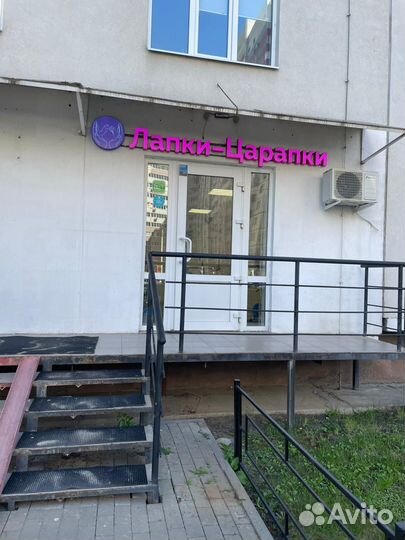 Передержка животных