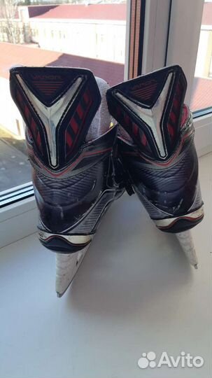 Коньки, шорты, нагрудник, локти Jr М