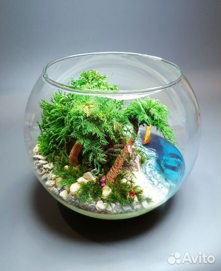 Моссариум (флорариум). Декор. Подарок