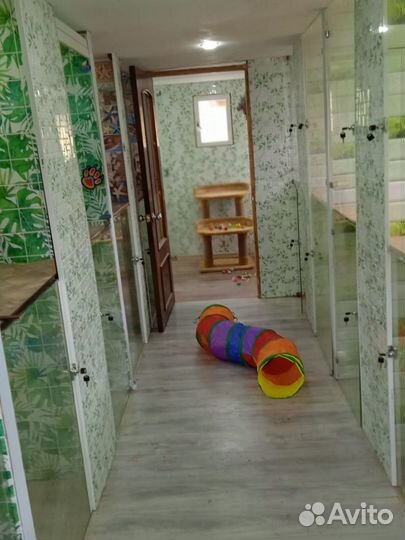 Зоогостиница на природе,номера с личным балконом