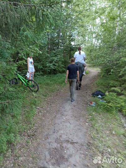 Катание на лошади