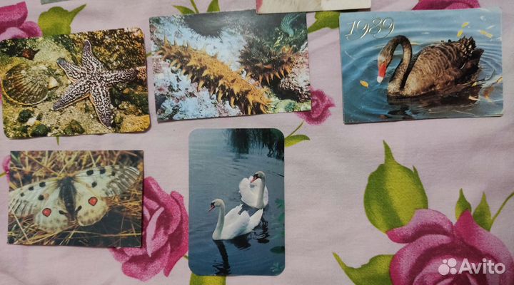 Календарики карманные, животный мир