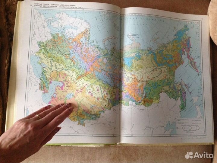 Атлас растений СССР