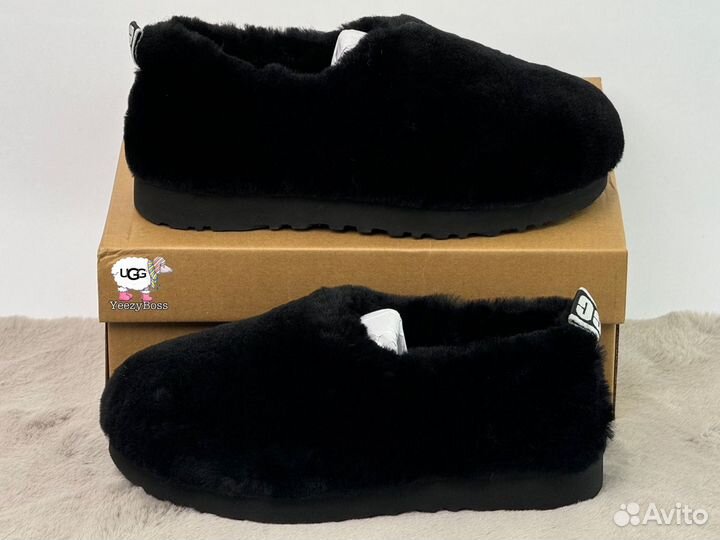 Угг угги Ugg Hailey Fluff Slippers Black