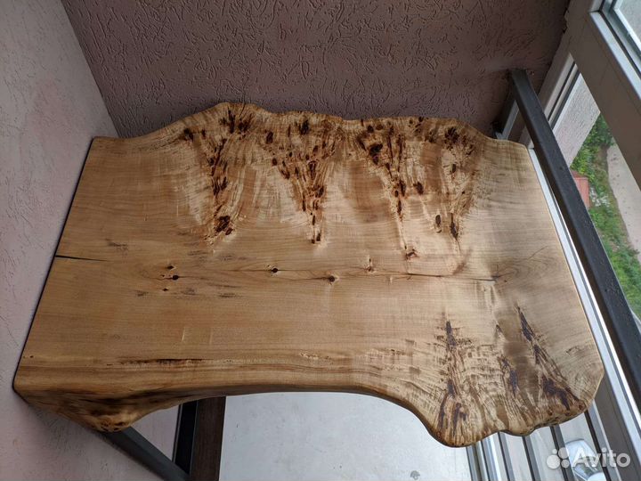 Каповый тополь калиброванный