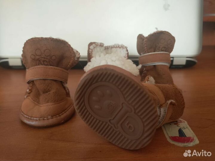 Ботинки для собак