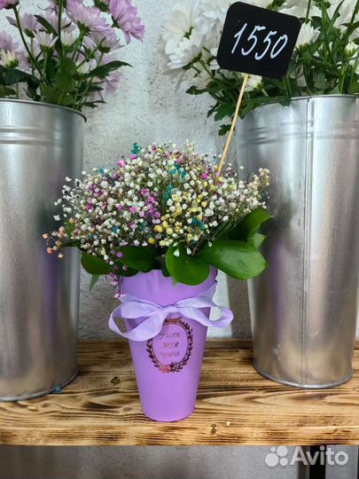 Розы в Туле71