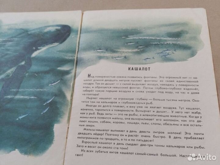 Тонкая детская книга СССР