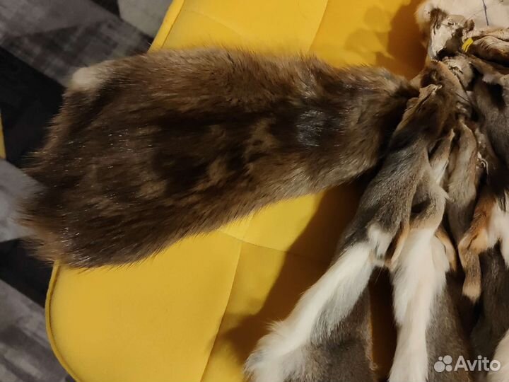 Беличьи шкурки выделанные