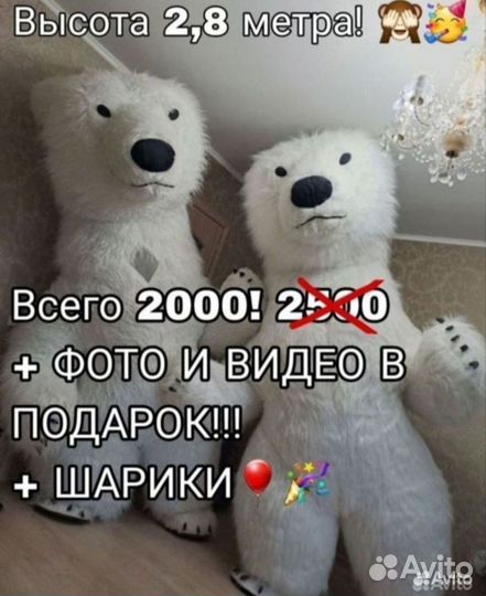 Поздравление от Пушистого медведя