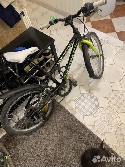 Велосипед детский Cosmic Author 20