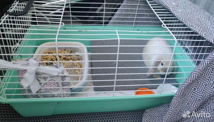 Клетка для грызунов