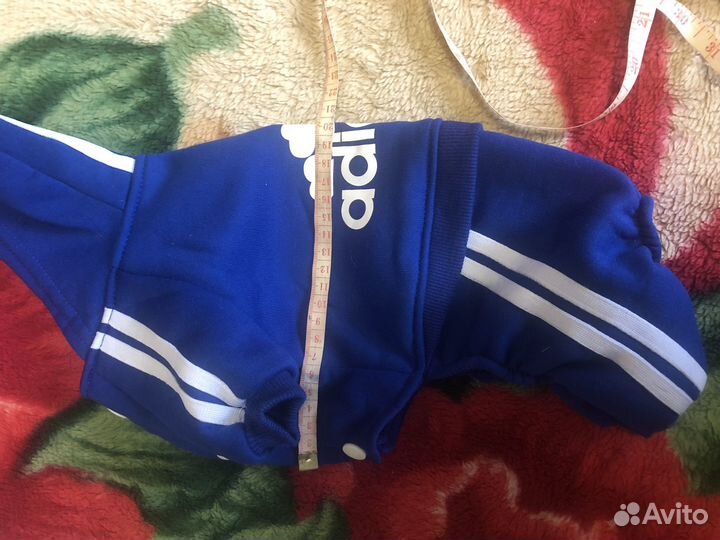 Вещи для маленьких собачек