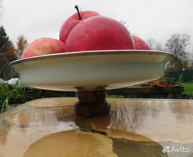 Редактор, автор, фотограф, копирайтер, рерайтер