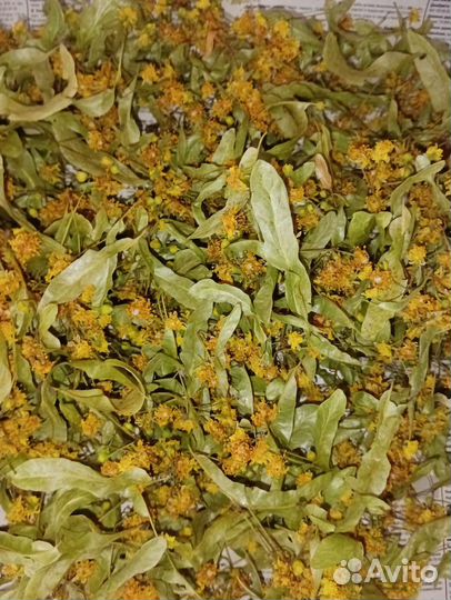 Липа, череда, Иван-чай,шалфей,ромашка,чабрец, мята