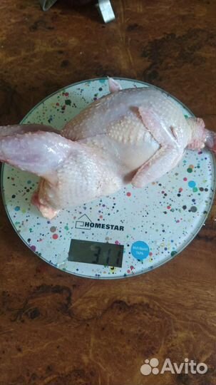 Перепелиное мясо