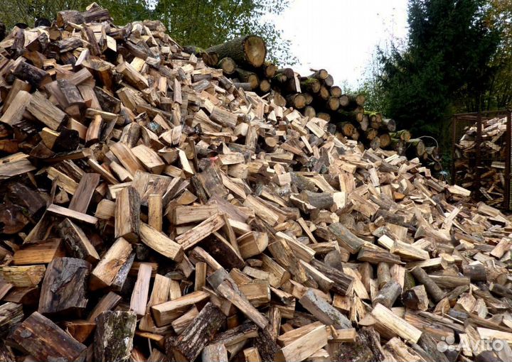 Дрова отличные