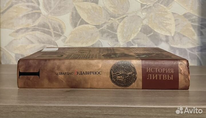 Эдвардас Гудавичюс. История Литвы