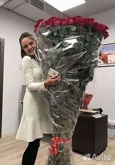 Высокие розы Гигантские розы 110