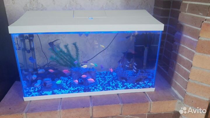 Аквариум (100литров)