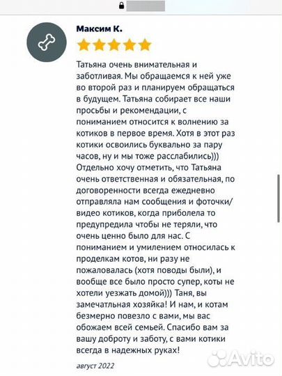 Догситтер, передержка кошек, передержка собак