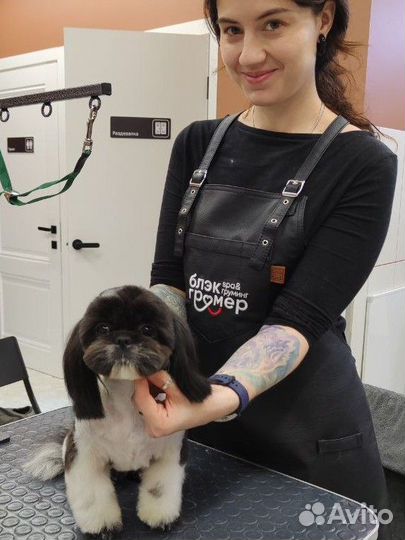 Груминг, стрижка собак