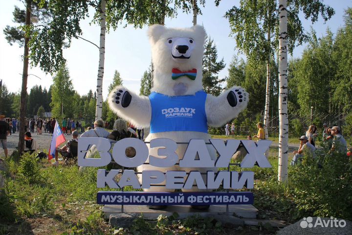 Поздравление от Карельского Мишки и Кота Учёного