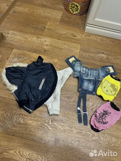 Одежда для маленьких пород собак