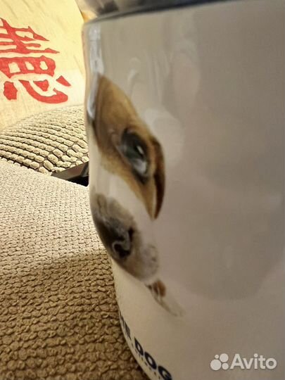 Кружка с собакой подарочная с мягкой игрушкой