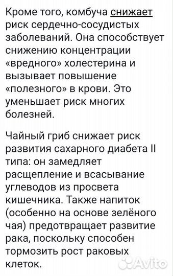 Чайный гриб (комбуча)