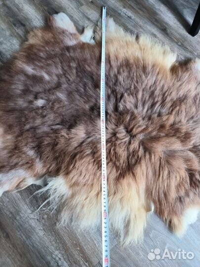 Шкура натуральная, шкура козла