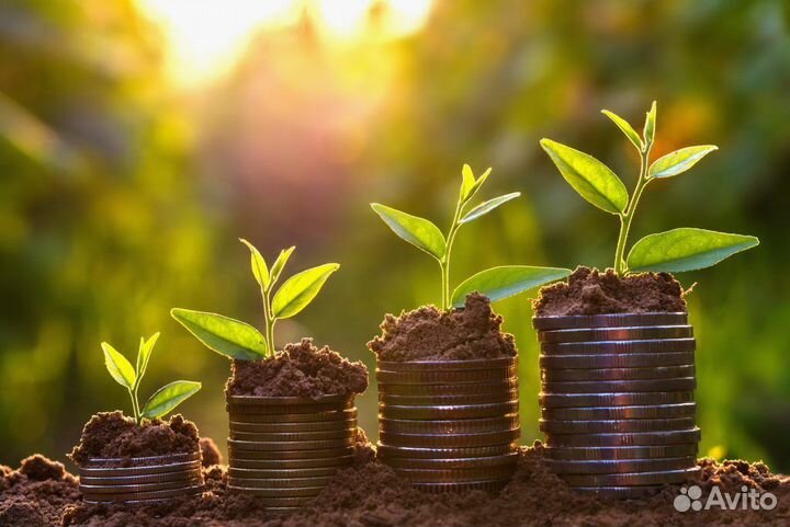 Дополнительный заработок на черенках растений